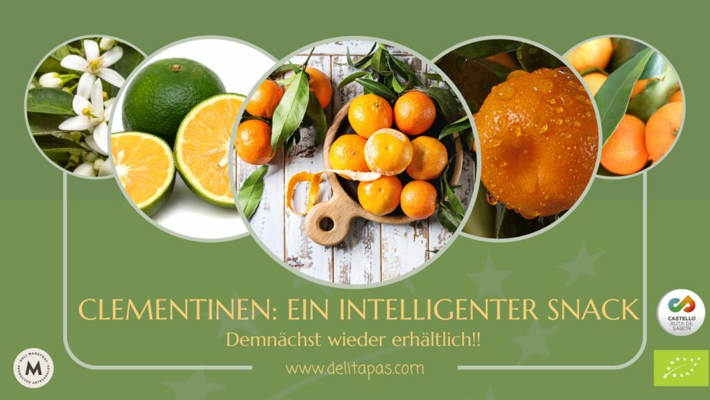 Bio Clementinen Delitapas